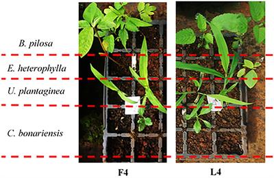 Potential Use of Biological Herbicides in a Circular Economy Context: A Sustainable Approach